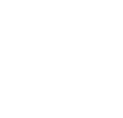 Spinks India logo